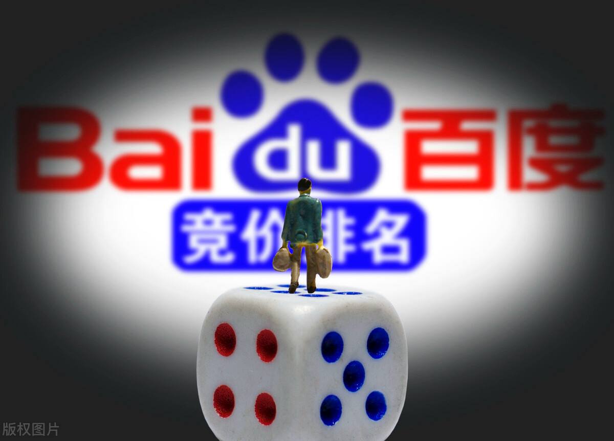 如何设置蜘蛛池用于站群