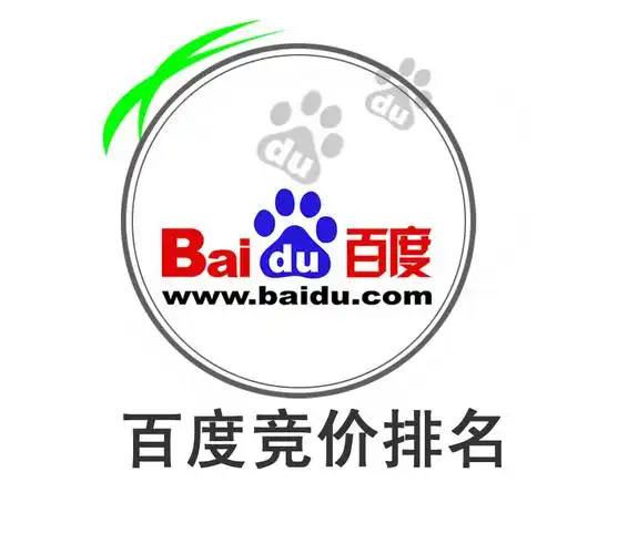 蜘蛛池在编程语言选择中的影响